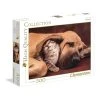 Clementoni Cuddles - 500 Piece Puzzle