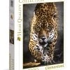 Clementoni Walk Of The Jaguar - 1000 Piece Puzzle