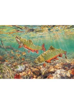 Cobble Hill Brook Trout - 1000 Piece Puzzle