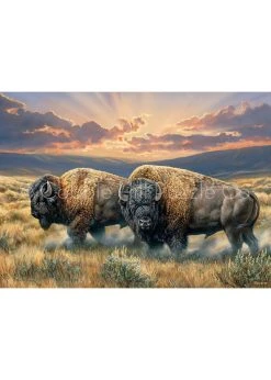 Cobble Hill Dusty Plains - 1000 Piece Puzzle