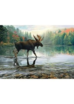 Cobble Hill Moose Crossing - 1000 Piece Puzzle