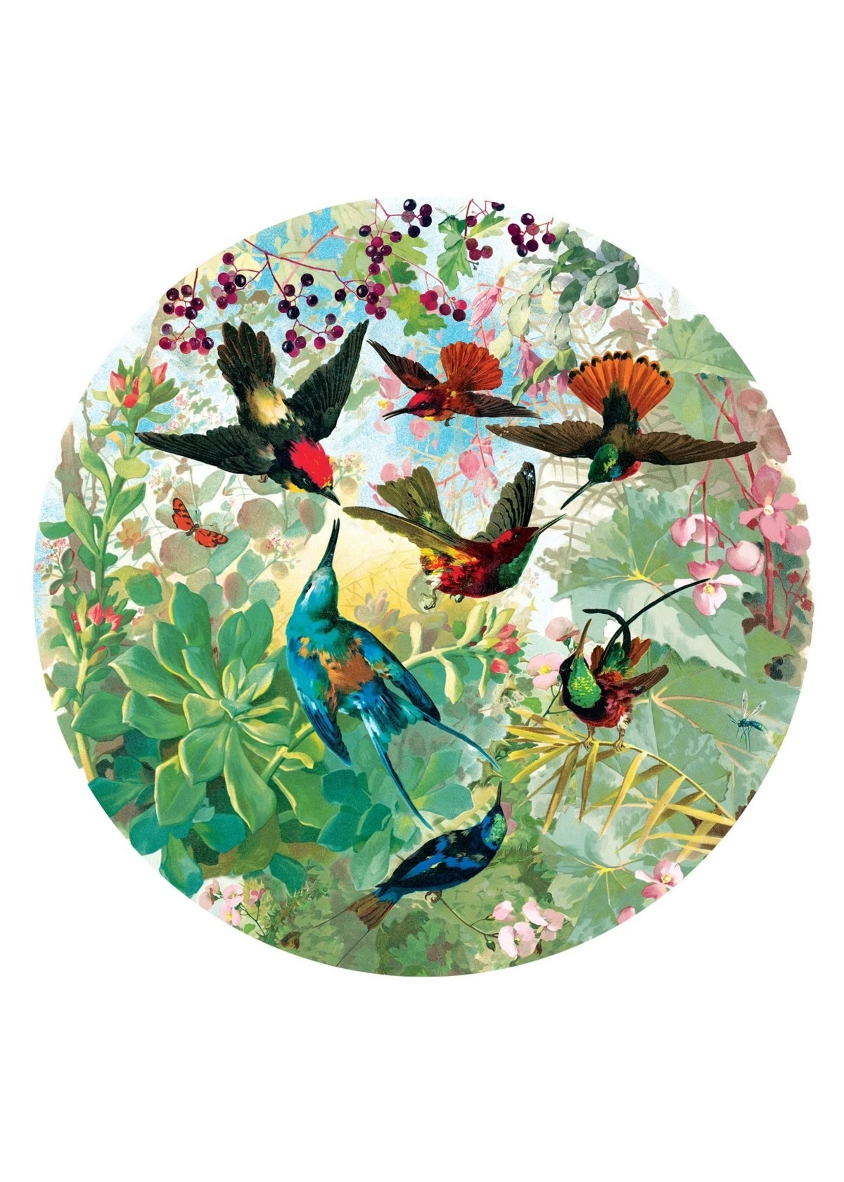 Eeboo Hummingbirds - 500 Piece Puzzle - Image 2