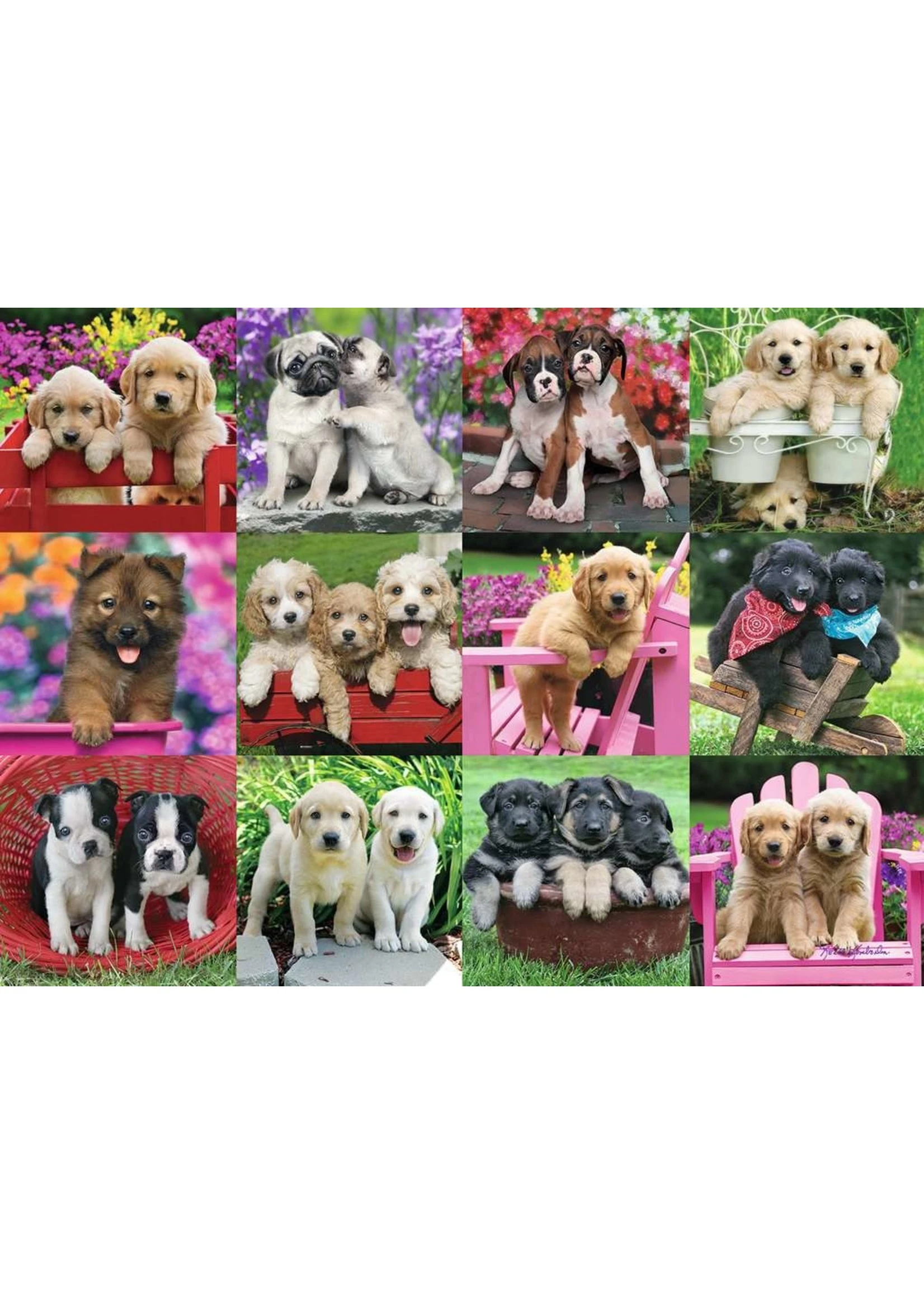 Ravensburger Puppy Pals - 500 Piece Puzzle - Image 2